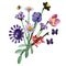 LEGO Botanicals 11507 Olivia Rodrigo's Bloemenboeket