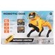 Robotic Dog