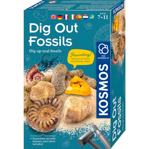 Kosmos Dig Out Fossils