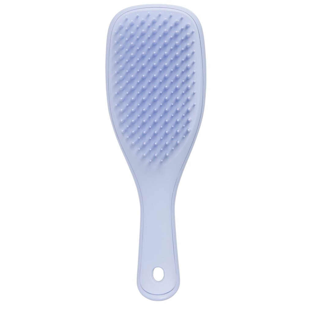 Tangle Teezer Detangler Mini Hairbrush