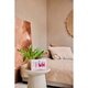 Therme Gift of Wellness Geschenkset