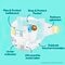 Pampers Premium Protection Maat 2 Luiers