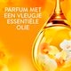 Lenor Amber & Orchidee Wasverzachter