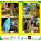 Dierentuin Voucher