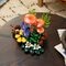LEGO Botanicals 11505 Bospaddenstoelen