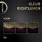 Syoss Oleo Intense 3-33 Intens Aubergine Permanente Haarkleuring