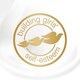 Dove Advanced Care Original Antitranspirant Roller