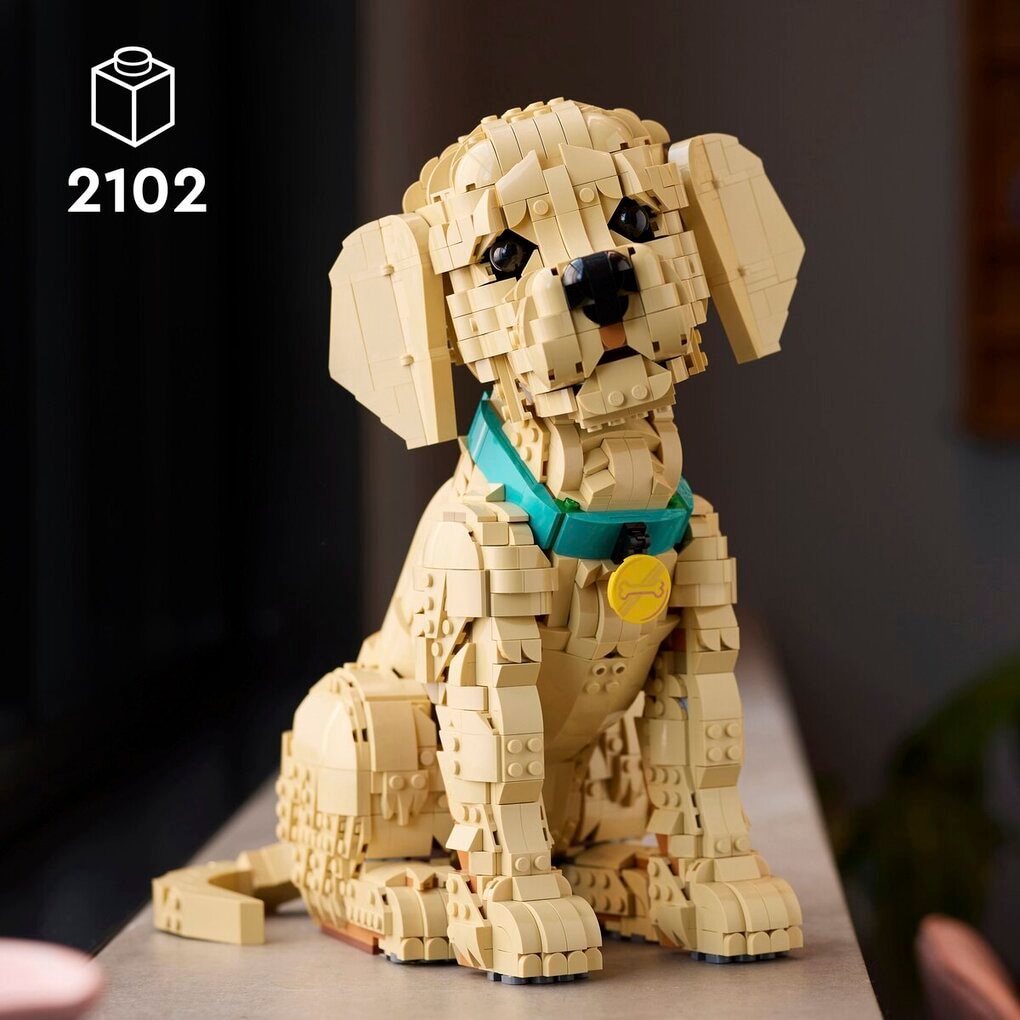LEGO Icons 11384 Golden Retriever Puppy