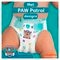 Pampers Baby-Dry Paw Patrol Maat 6 Luiers