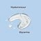 Biodermal Sensitive Balance Micellair Reinigingsgel