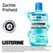 Listerine Cool Mint Mild Mondwater