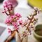LEGO Botanicals 40725 Kersenbloesems