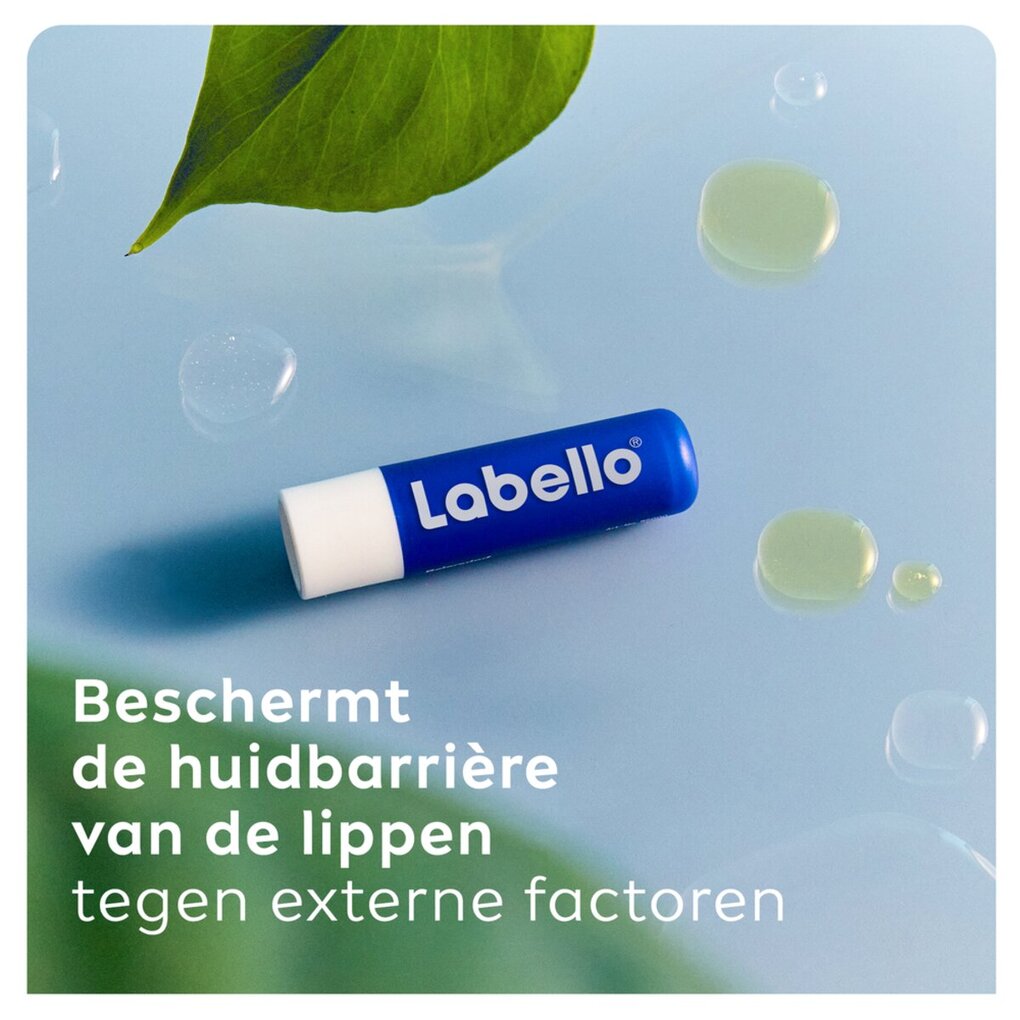 Labello Original Lippenbalsem