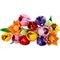 LEGO The Botanical Collection 11501 Boeket met Tulpen