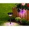 Watshome Solar 3-in-1 Projectielamp