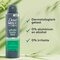 Dove Men + Care Whole Body Bamboo & Aloe Deodorant Spray