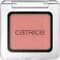 Catrice Art Couleurs 490 Muted Bloom Oogschaduw