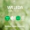 Weleda Granaatappel & Maca Verstevigende Nachtcrème