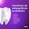 Prodent Wit + Fris Expert Tandpasta