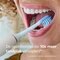 Philips Sonicare Premium Plaque Defence HX9042/87 Opzetborstels