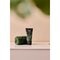 Therme Men Forest Legend 3-in-1 Wash