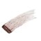 Essence Brow Lift & Freeze 04 Dark Brown Glue