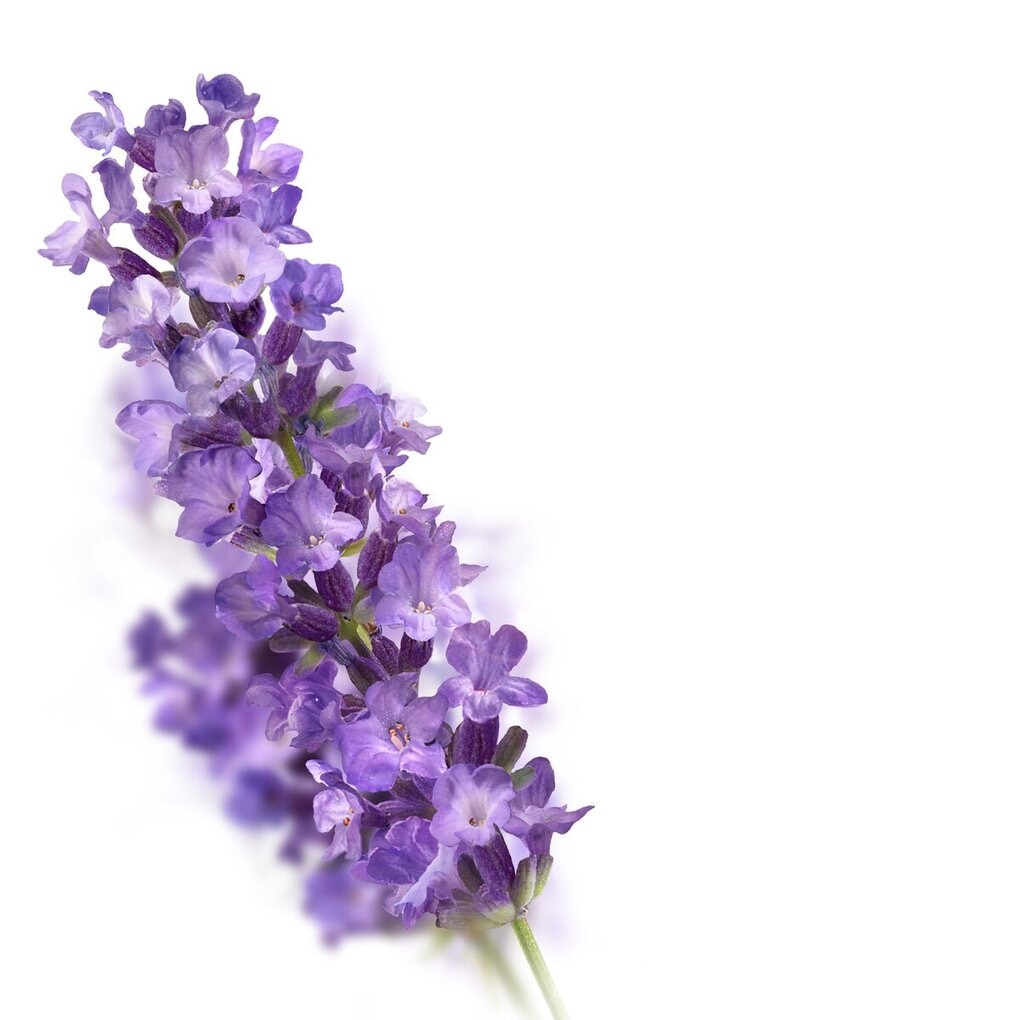 Kneipp Relaxing Lavendel Douchegel